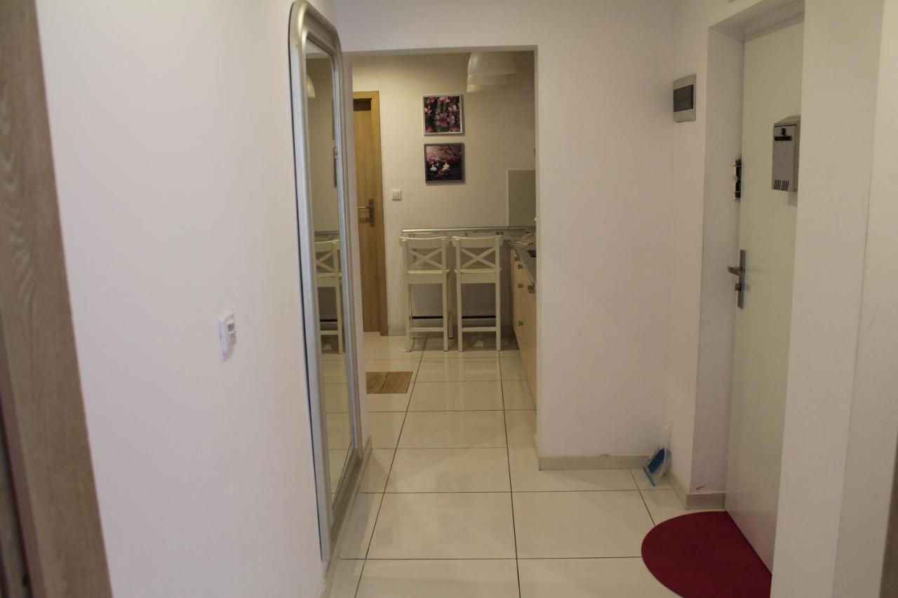 קרקוב Studio Anna מראה חיצוני תמונה